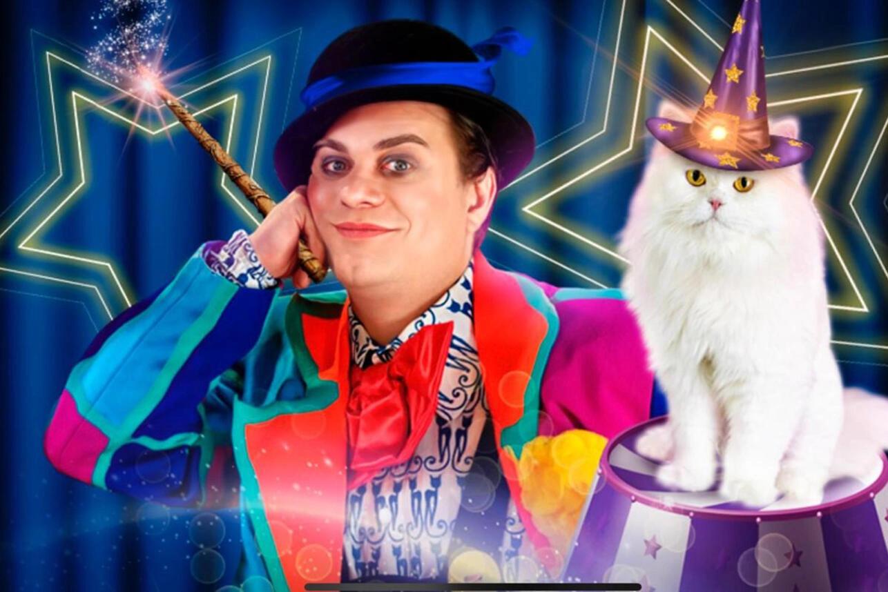 Event image Волшебные кошки