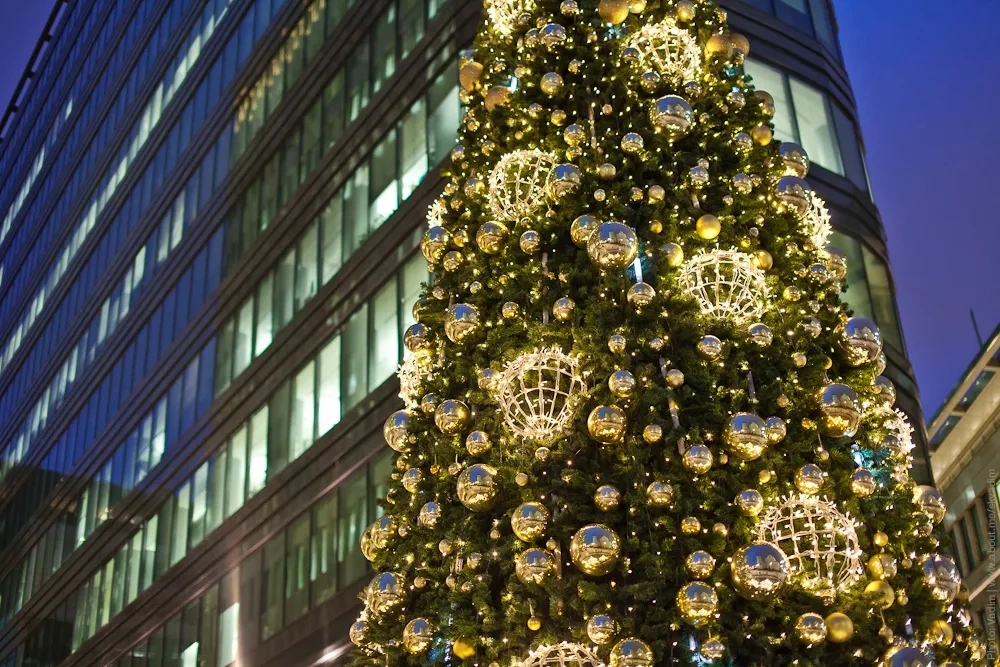 С Новым 2026 годом! Пусть счастье будет в простых вещах